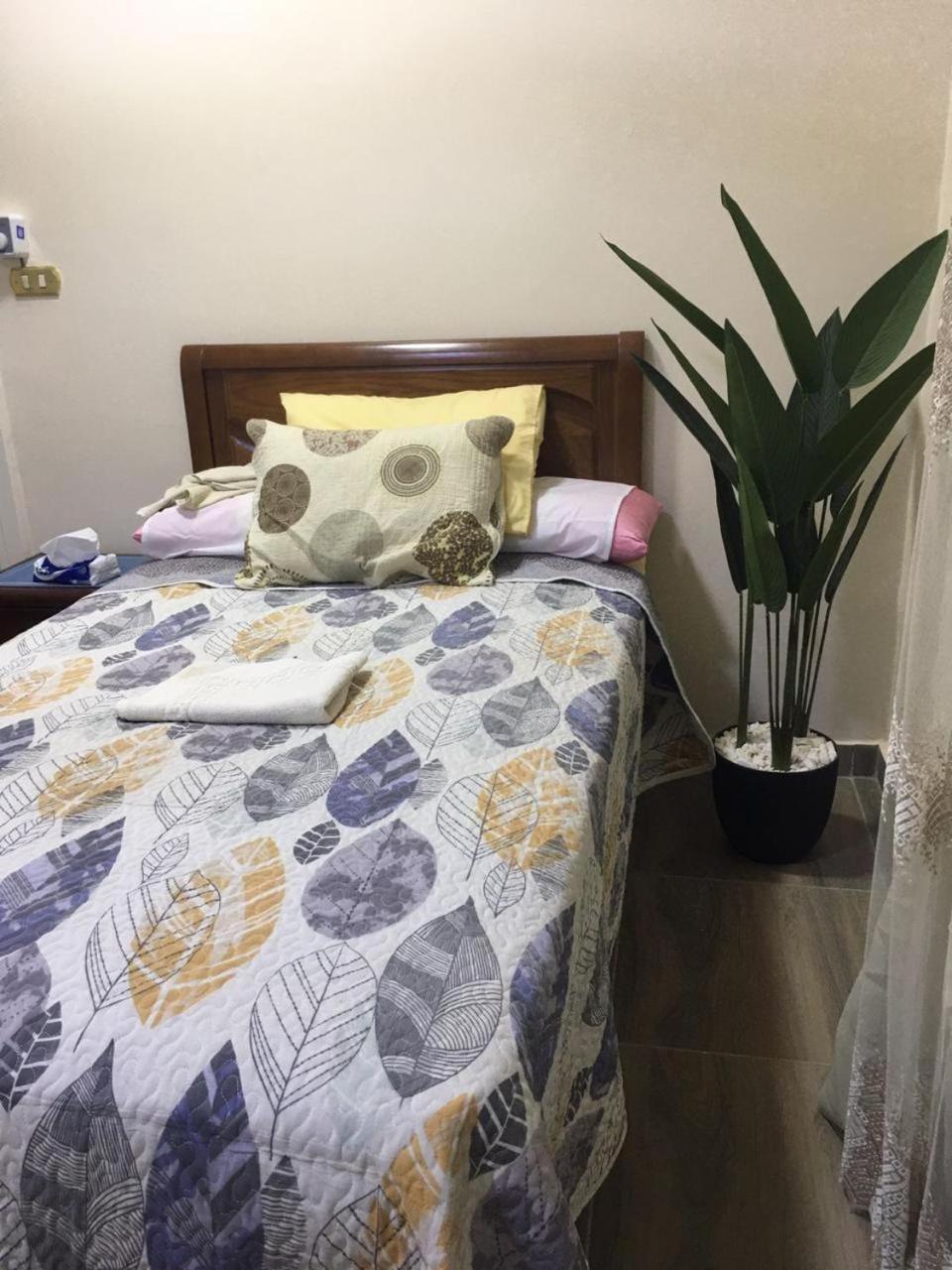 Cozy Near Downtown Cairo